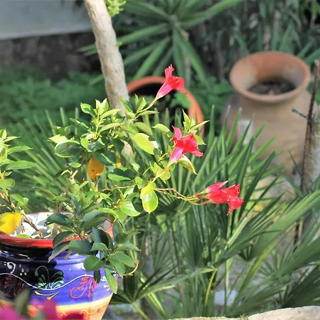 Holiday home Alquiler Casa Canigo, Santa Margarita, - Es-366-4